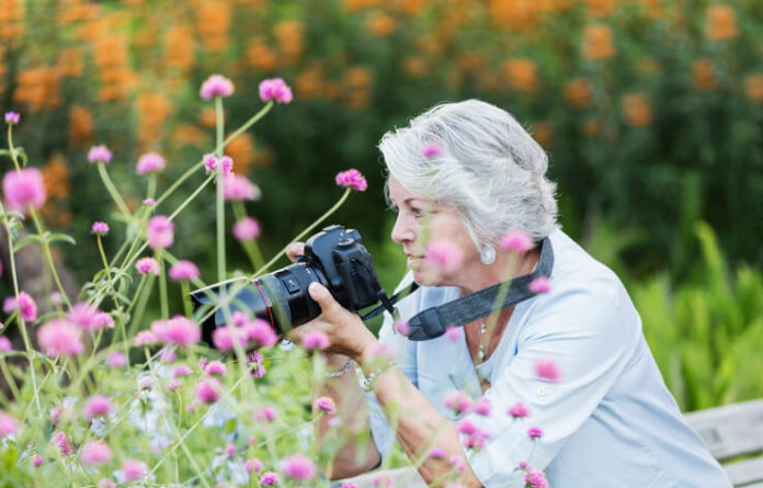 woman using digital camera in garden, senior woman in her 60s in a garden photographing flowers.